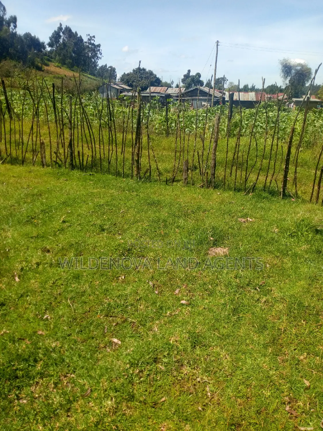 A 3/4 Cre On Sale At Kimende Kiambu Near Kimende Town