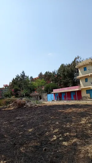 Prime Commercial Plots, 1/4 Acre Kamakis. Green Spot