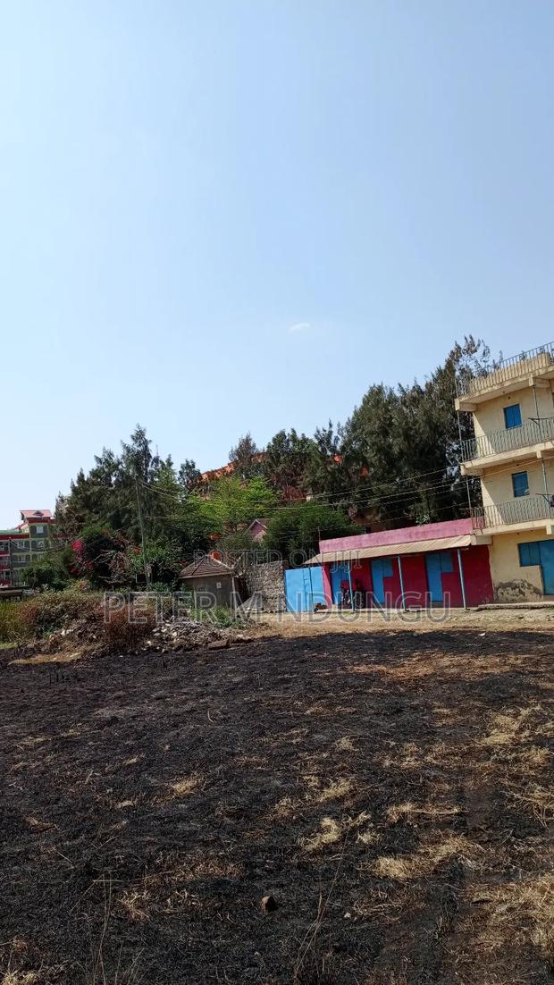 Prime Commercial Plots, 1/4 Acre Kamakis. Green Spot - thumbnail 3