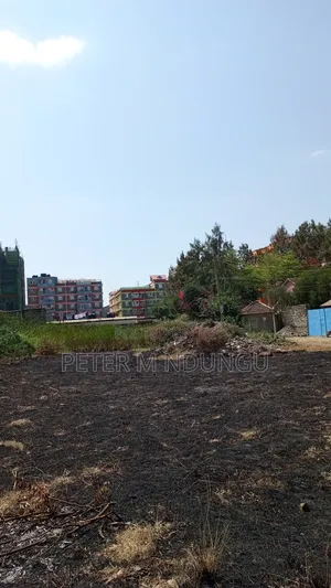 Prime Commercial Plots, 1/4 Acre Kamakis. Green Spot