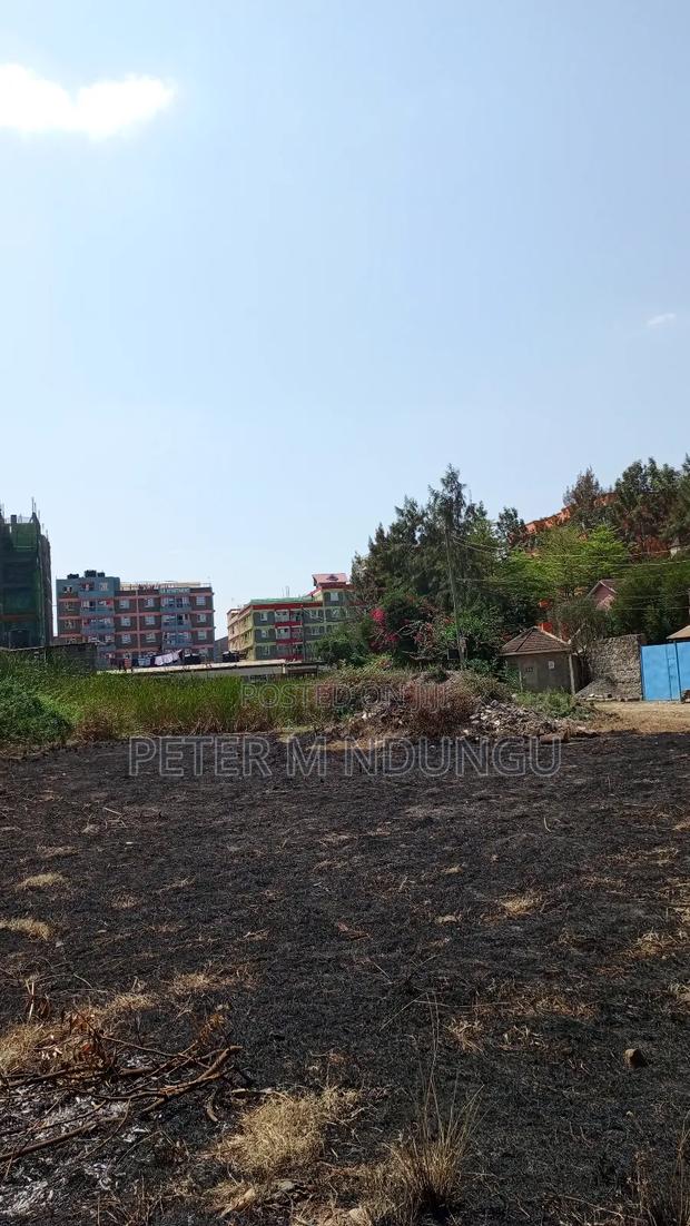 Prime Commercial Plots, 1/4 Acre Kamakis. Green Spot - thumbnail 4