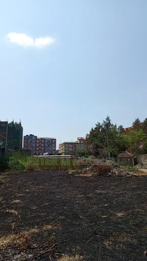 Prime Commercial Plots, 1/4 Acre Kamakis. Green Spot