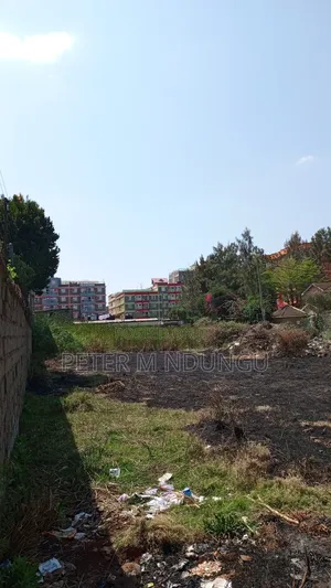 Prime Commercial Plots, 1/4 Acre Kamakis. Green Spot