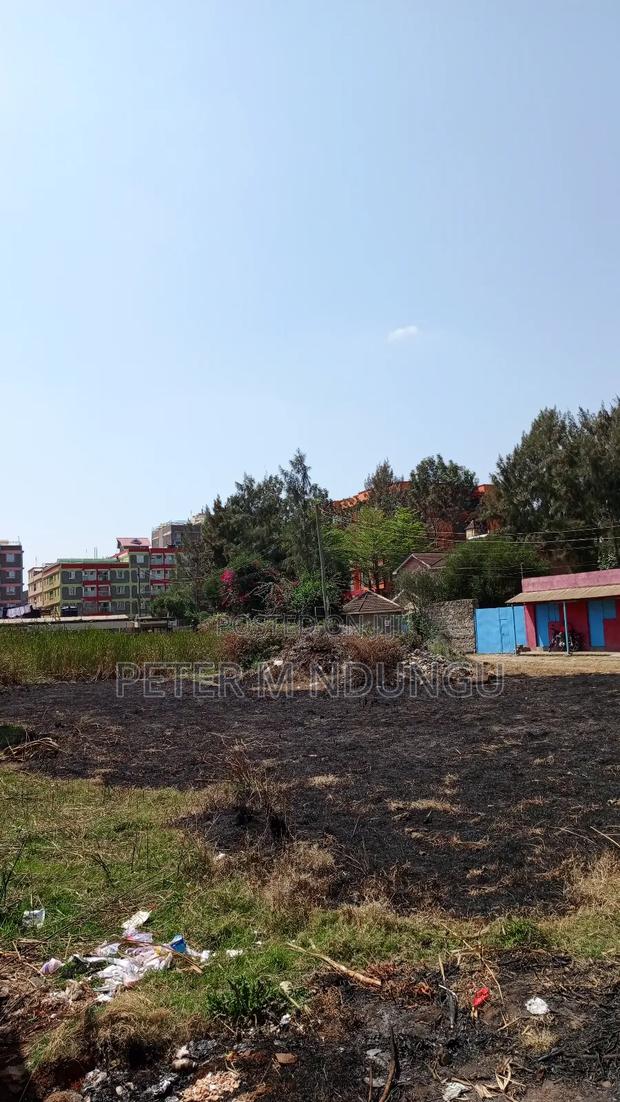 Prime Commercial Plots, 1/4 Acre Kamakis. Green Spot - thumbnail 9