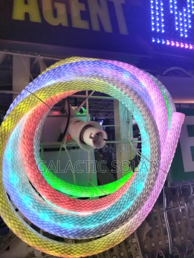 Neon Snake Light