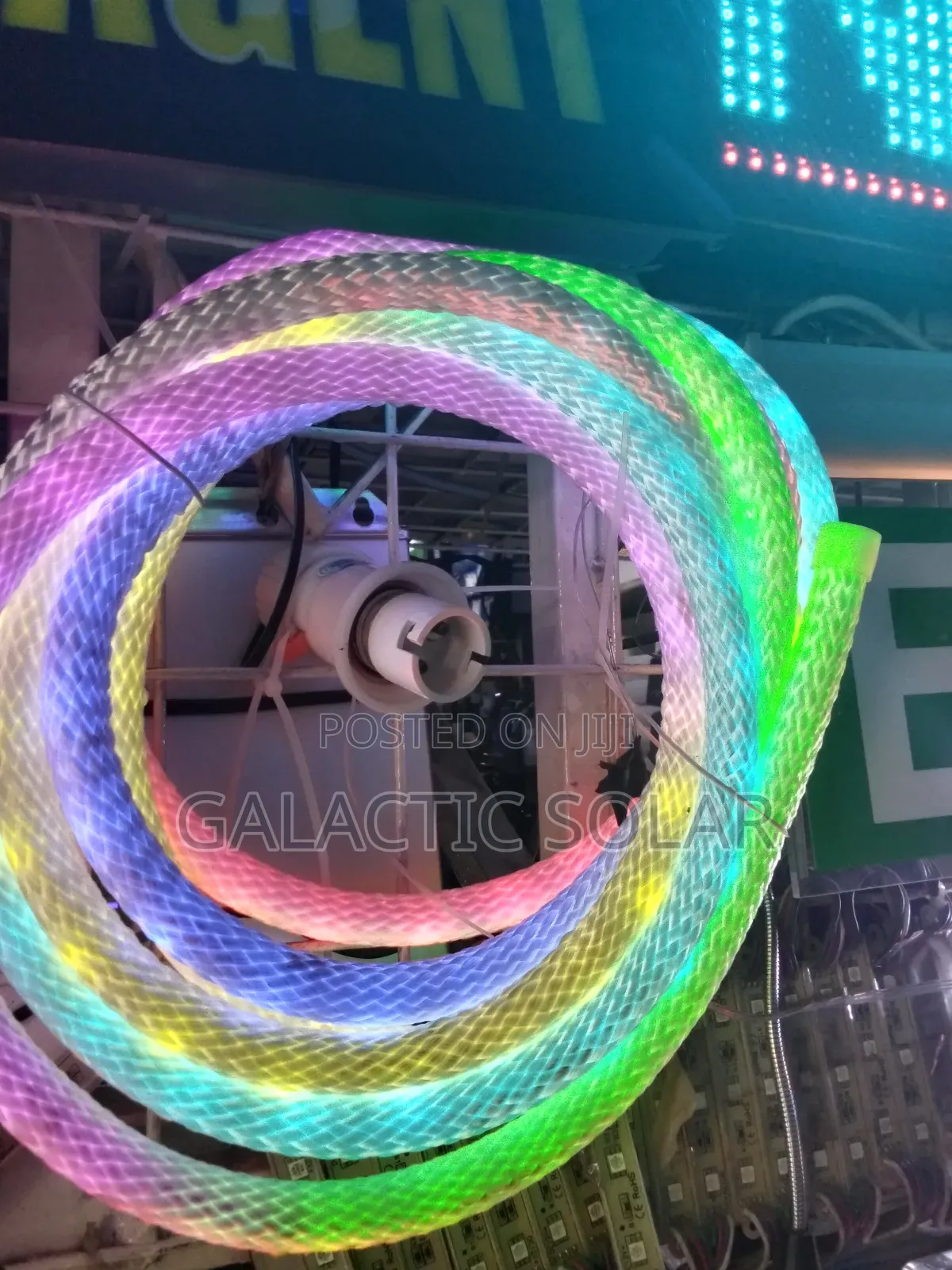 Neon Snake Light