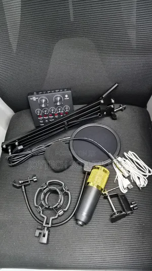 Karaoke Podcast Hot Selling Condenser Recording Live Streaming Mic