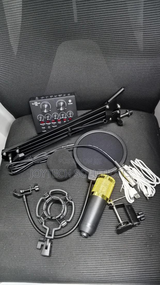 Karaoke Podcast Hot Selling Condenser Recording Live Streaming Mic