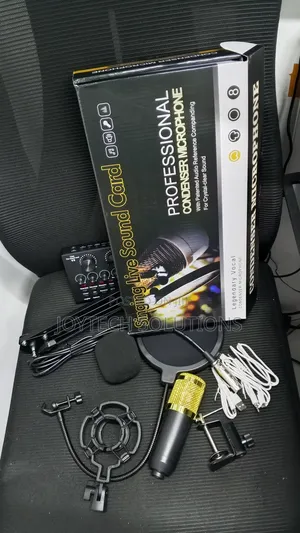 Karaoke Podcast Hot Selling Condenser Recording Live Streaming Mic
