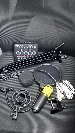 Karaoke Podcast Hot Selling Condenser Recording Live Streaming Mic
