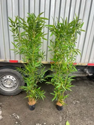 Nordic High Quality Artificial Green Tree