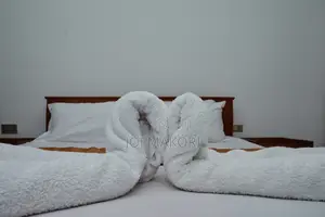 Furnished 1bdrm Apartment in Wood Avenue, Hurlingham for rent