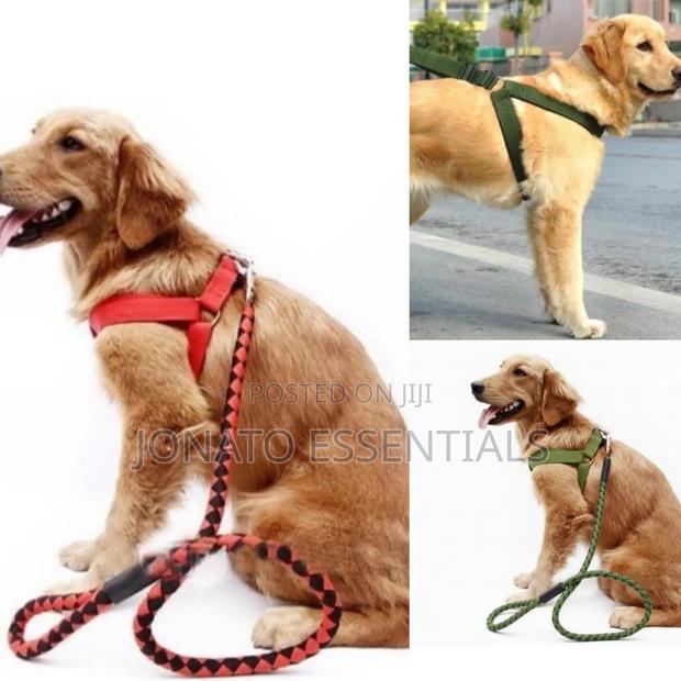 Adjustable Dog Harness Leash Set for Small and Medium Dogs - main view