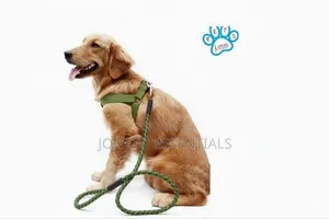 Adjustable Dog Harness Leash Set for Small and Medium Dogs