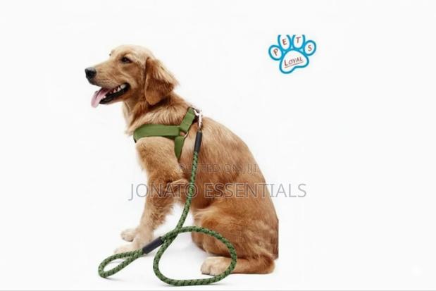 Adjustable Dog Harness Leash Set for Small and Medium Dogs - thumbnail 3