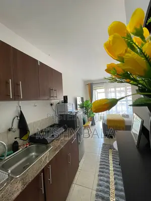 Modern Furnished Studio Close to CBD Malls – Ruaka