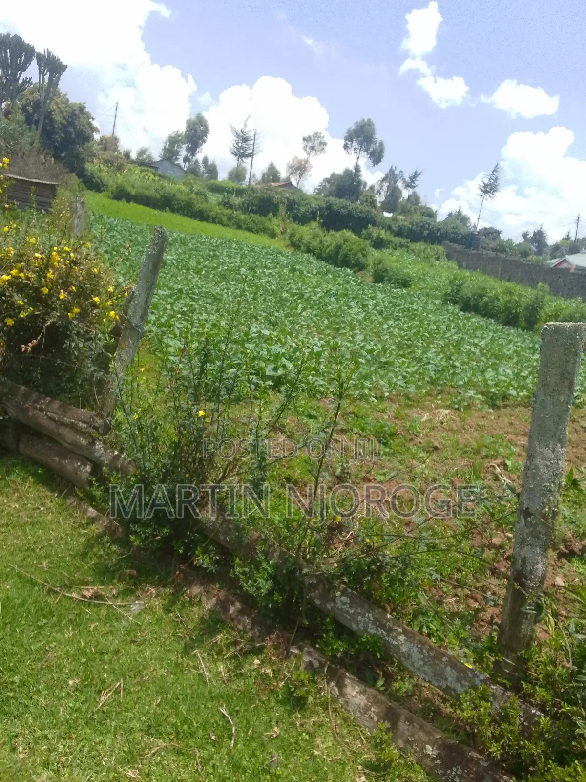 2 Acres Mwendandu