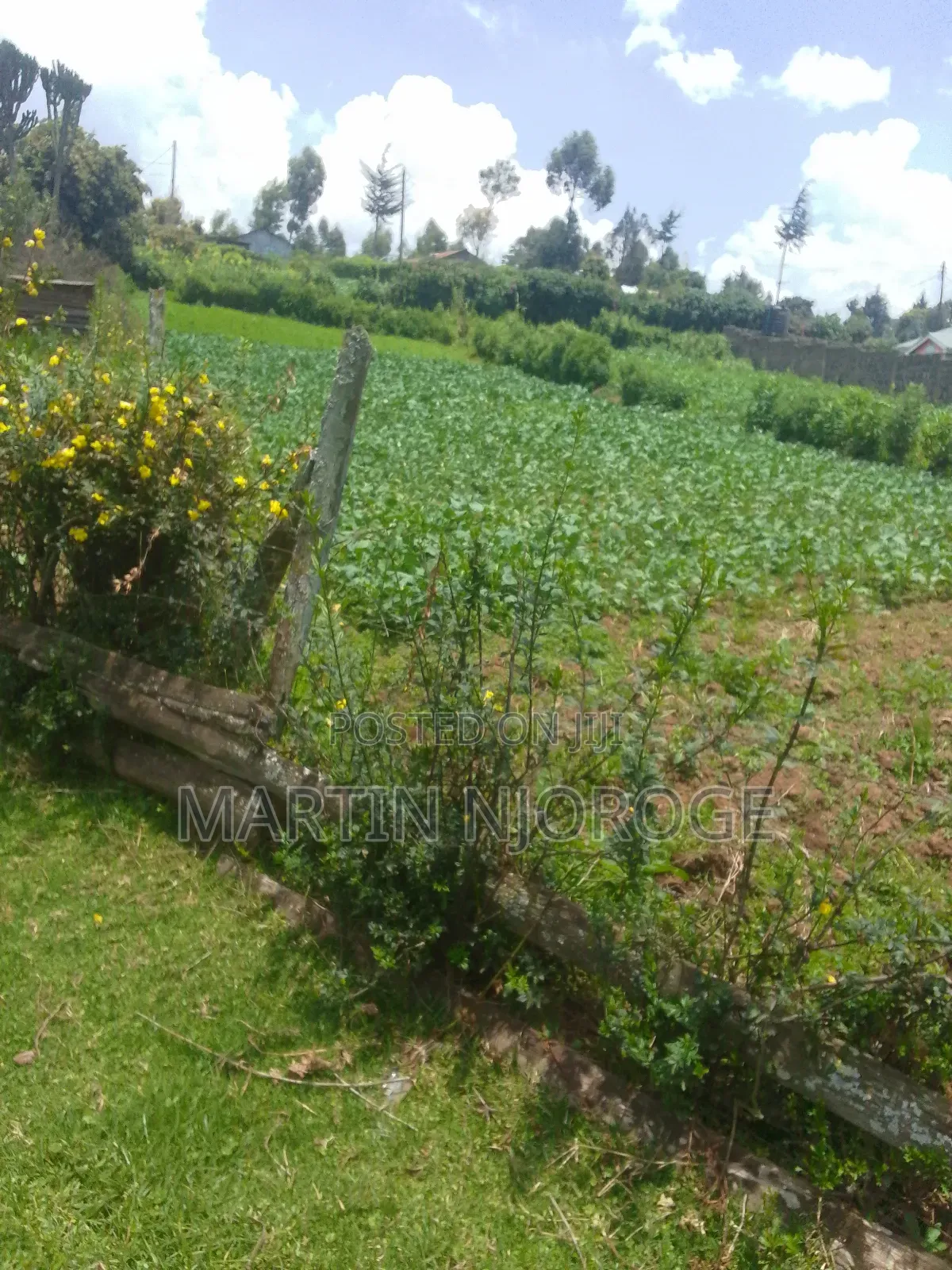 2 Acres Mwendandu