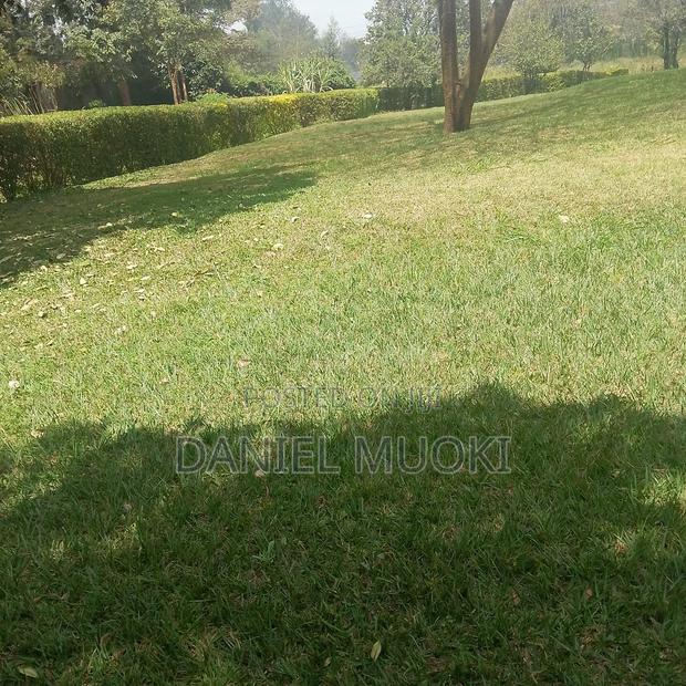 Karen Plot on Sale 4 Acre With 24bedrooms - main view
