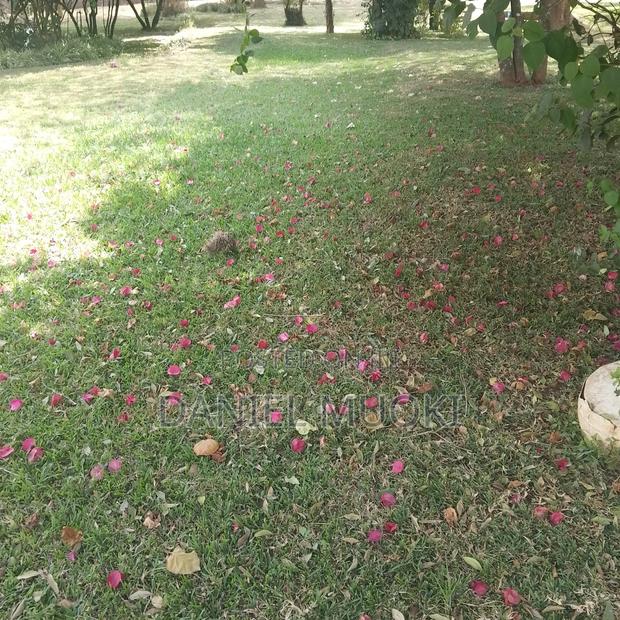 Karen Plot on Sale 4 Acre With 24bedrooms - thumbnail 2