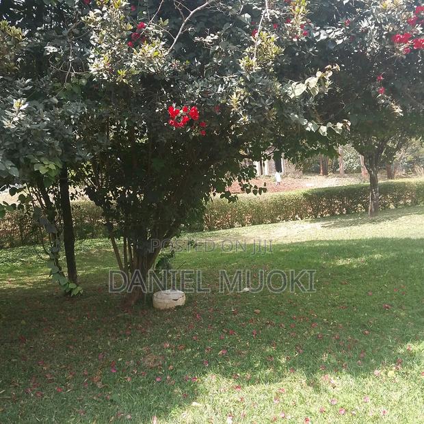 Karen Plot on Sale 4 Acre With 24bedrooms - thumbnail 6