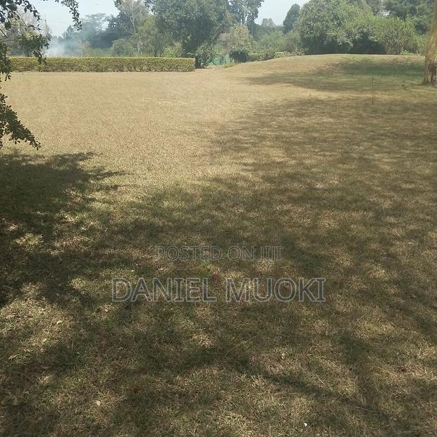 Karen Plot on Sale 4 Acre With 24bedrooms - thumbnail 7