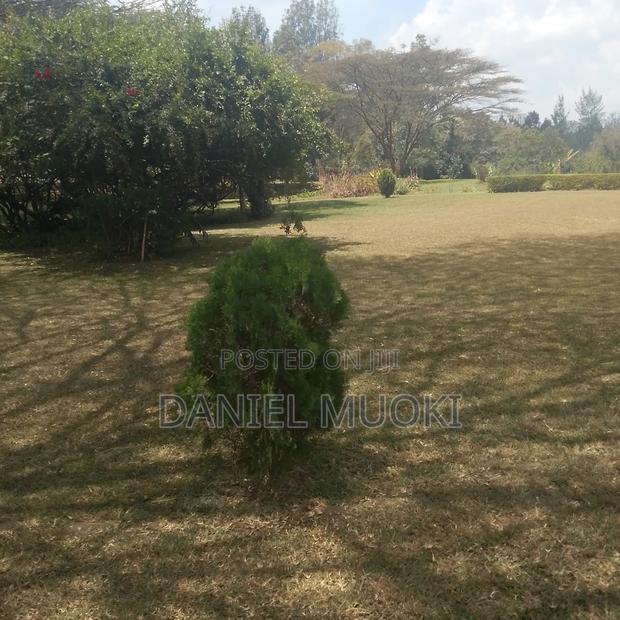 Karen Plot on Sale 4 Acre With 24bedrooms - thumbnail 8