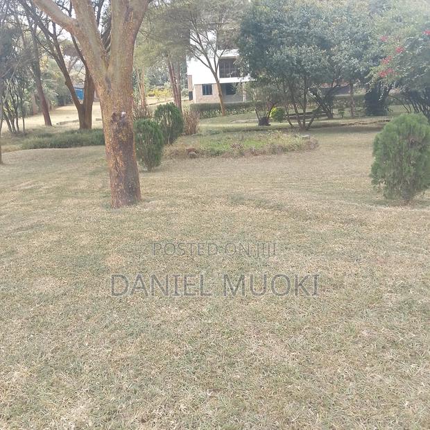 Karen Plot on Sale 4 Acre With 24bedrooms - thumbnail 9