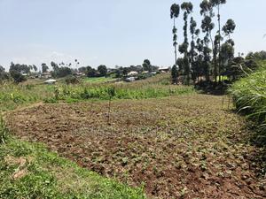 Quarter Acre Plot in Zambezi With Farming Water Connected - thumbnail 2