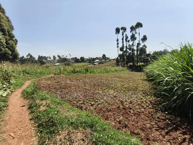 Quarter Acre Plot in Zambezi With Farming Water Connected - thumbnail 6