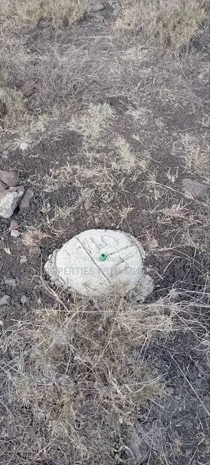 1/8 Acre Plots for Sale in Katani,Syokimau