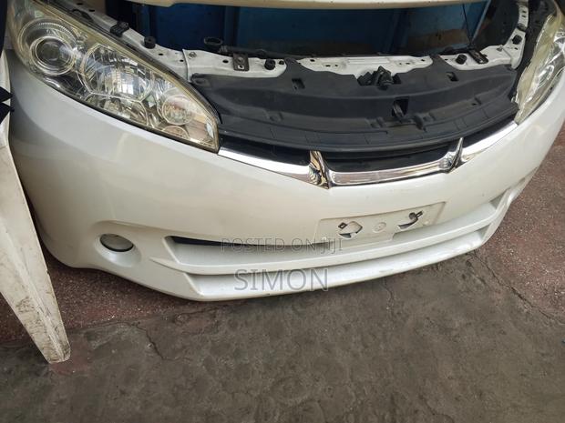 Wish 2010 Nosecut - main view