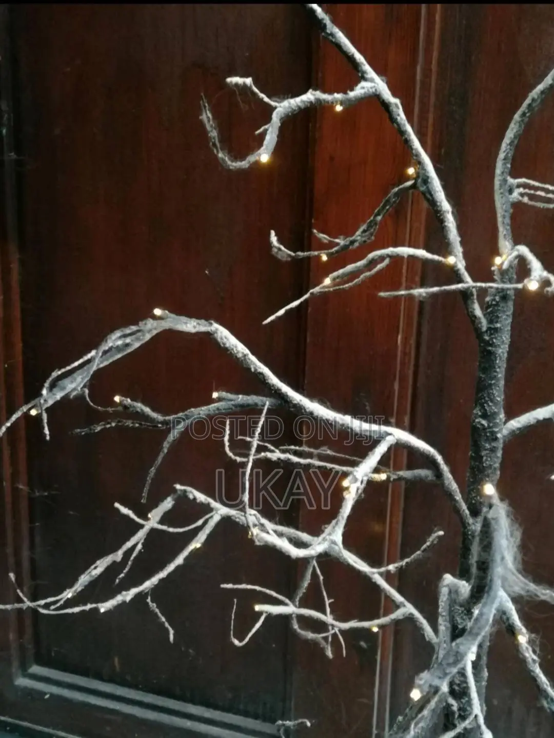 Manzanita Wishing Tree.