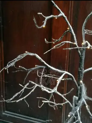 Manzanita Wishing Tree.