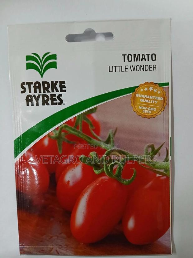 Tomato Little Wonder - main view