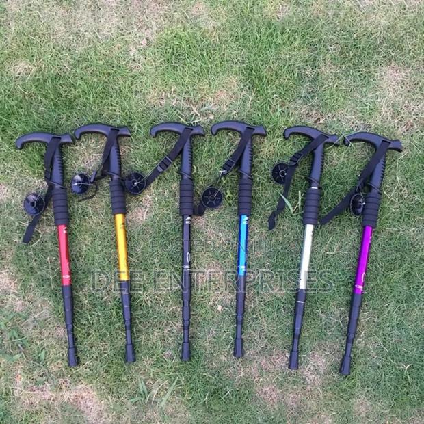 Anti Shock Trekking Pole - main view