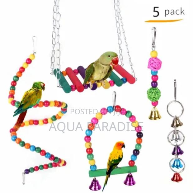 5 Pack Foraging Toys - thumbnail 3