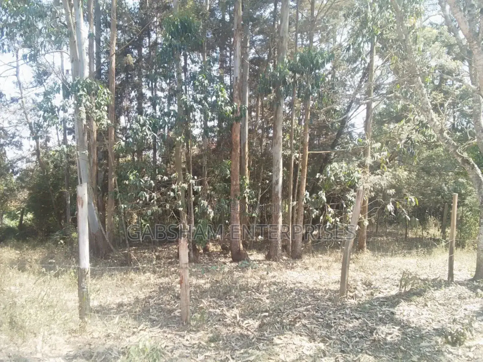 1/2(Half) an Acre Land in Mua Hills for Sale