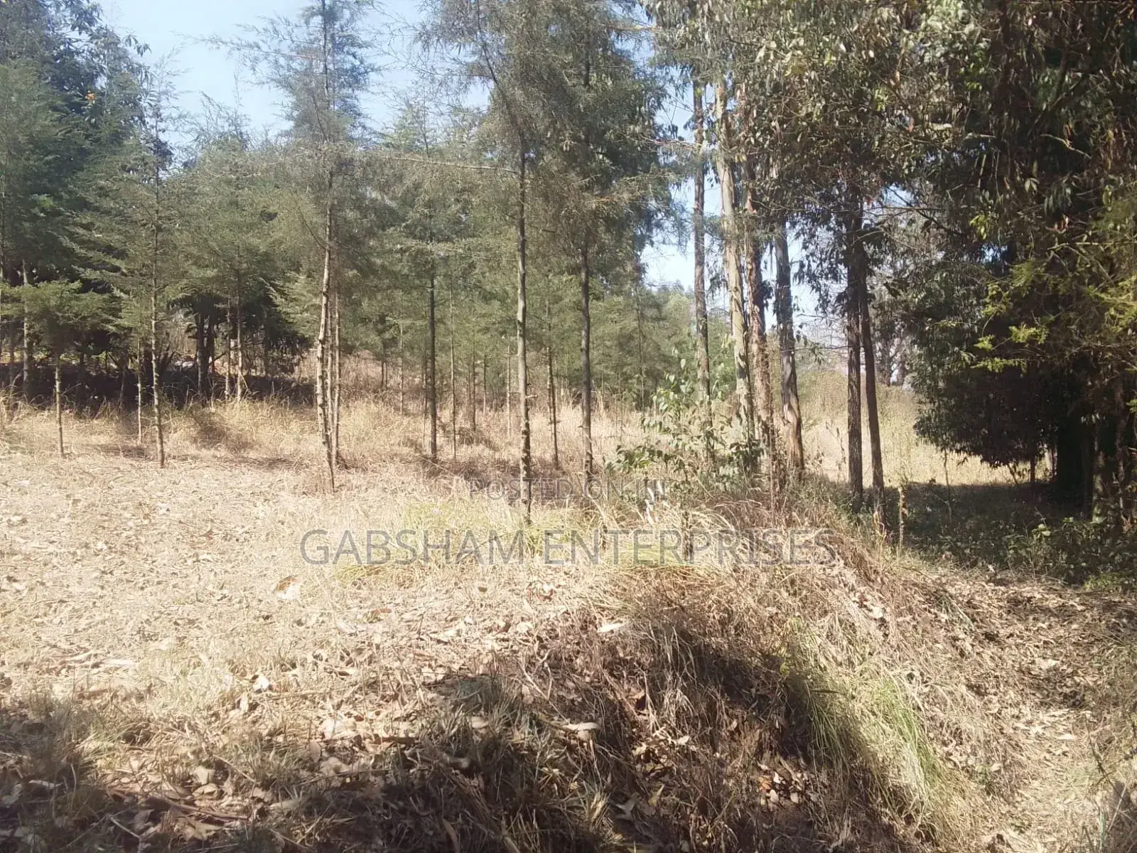 1/2(Half) an Acre Land in Mua Hills for Sale