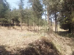 1/2(Half) an Acre Land in Mua Hills for Sale