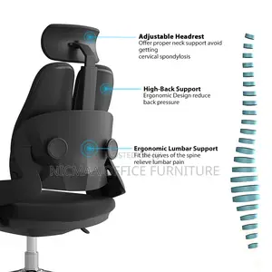 Executive Ergonomic Office Chair Support With Headrest