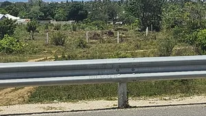 Plots in Dongo Kundu 50×100 , Right on the Highway