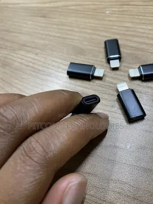 iPhone Male to Female Type -C Otg