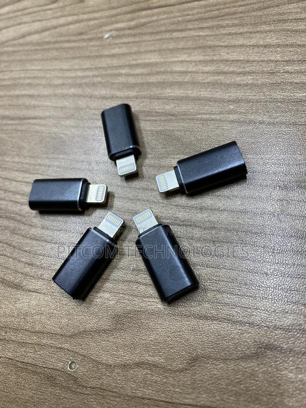 iPhone Male to Female Type -C Otg - main view