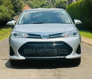 Toyota Corolla Fielder 2019 Silver