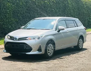 Toyota Corolla Fielder 2019 Silver