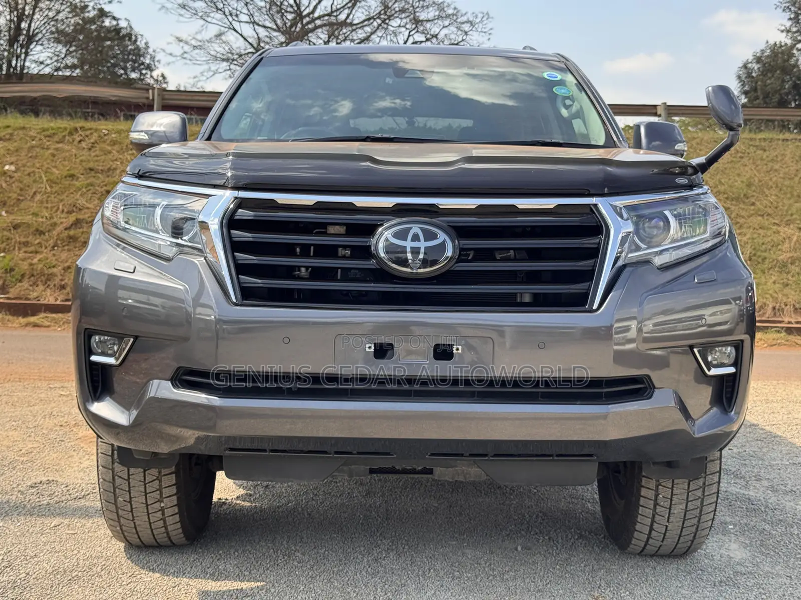 Toyota Land Cruiser Prado 2019 Gray