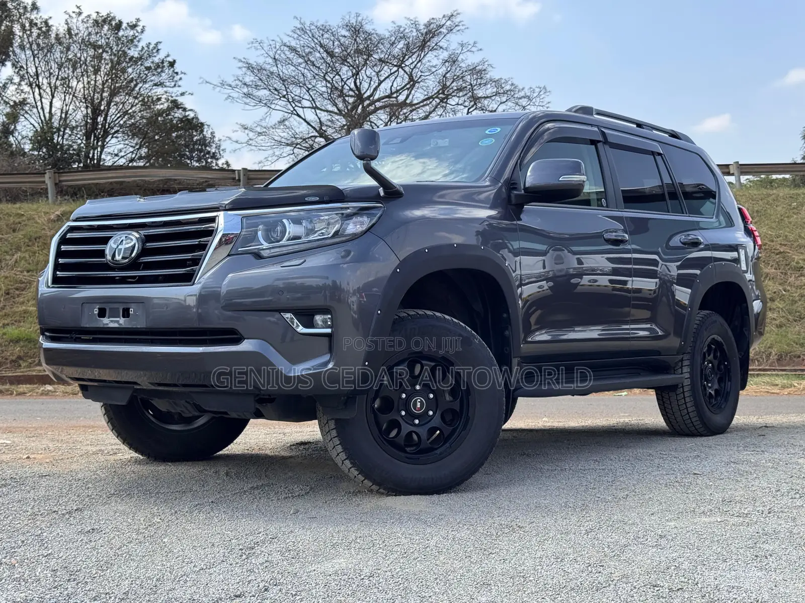 Toyota Land Cruiser Prado 2019 Gray