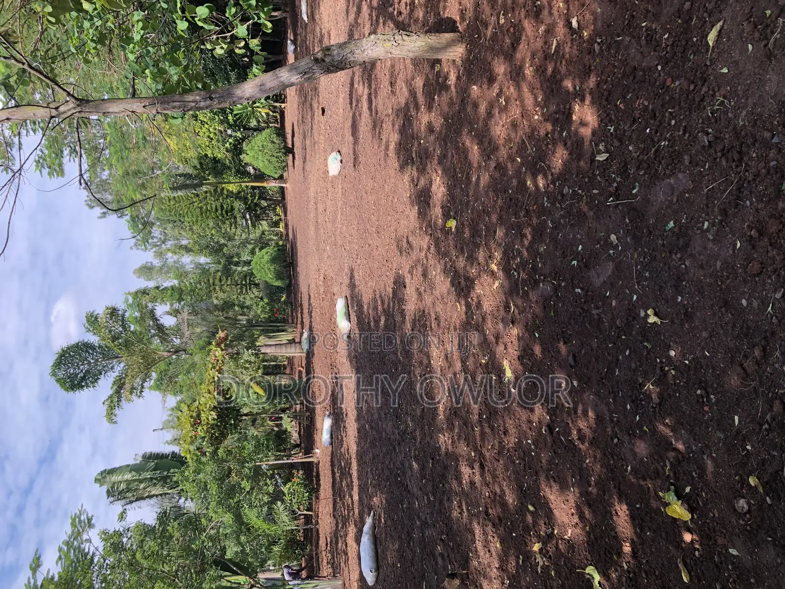 Bustanini Landscapers