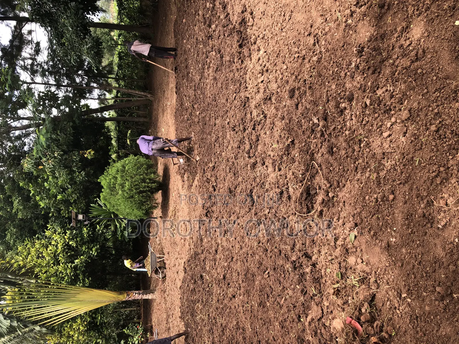 Bustanini Landscapers